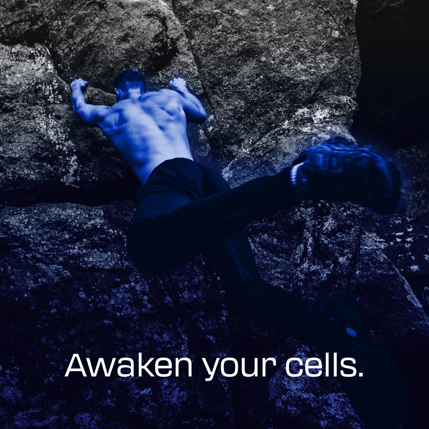 NEUROFLEXIS - Methylene Blue+